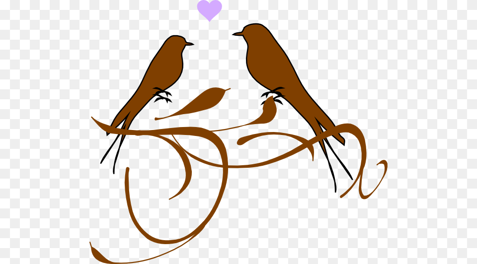 Love Birds Clip Art For Web, Animal, Bird, Text Free Png