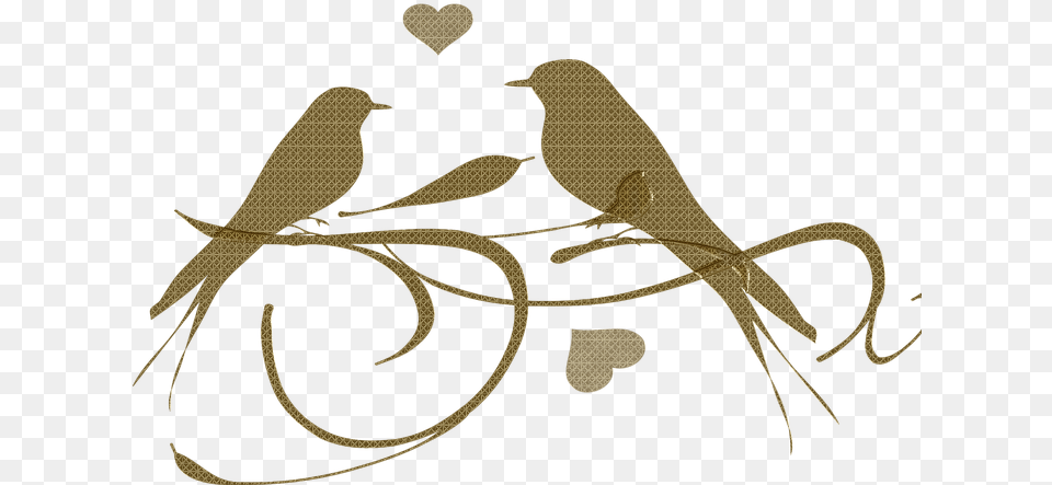 Love Birds Clipart, Animal Png Image