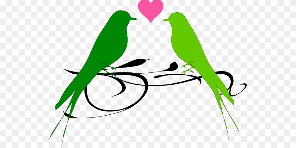 Love Birds Clipart Bird, Animal, Parakeet, Parrot Png Image