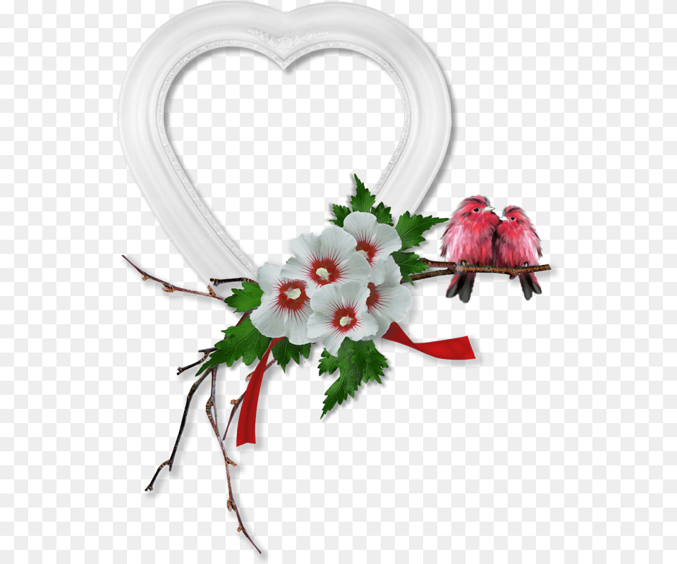 Love Birds Frame Cluster Grafik 631 800 Pixel Clip Art, Flower Bouquet, Plant, Flower, Flower Arrangement Free Png