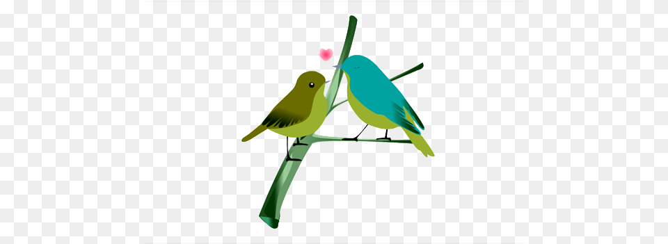 Love Birds Love Bird Hd, Animal, Finch, Beak Free Transparent Png