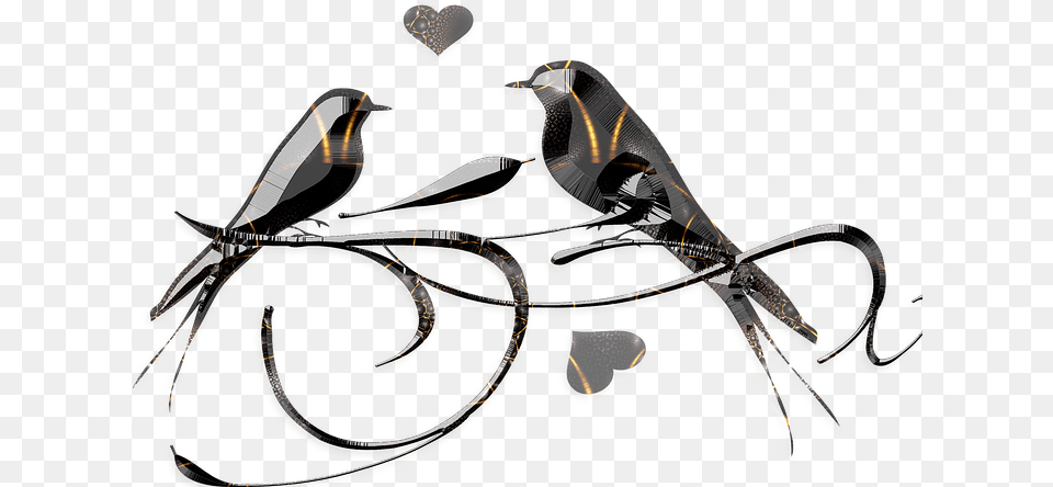 Love Birds Nest Drawing, Accessories, Glasses Free Transparent Png