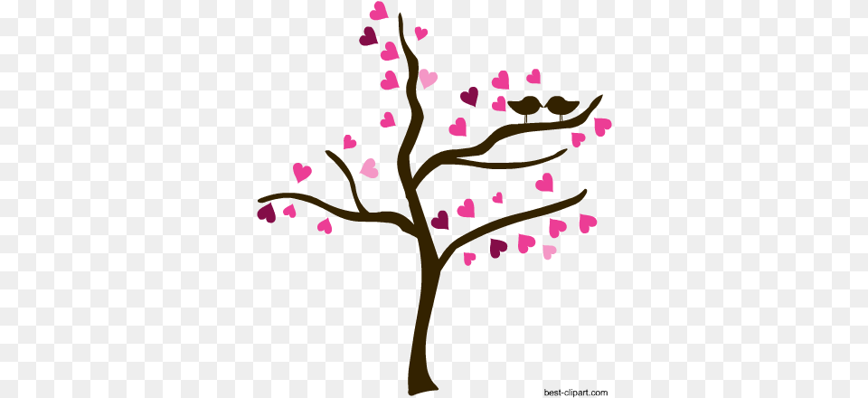 Love Birds On A Tree Valentine Clip Art, Flower, Petal, Plant, Cherry Blossom Free Png