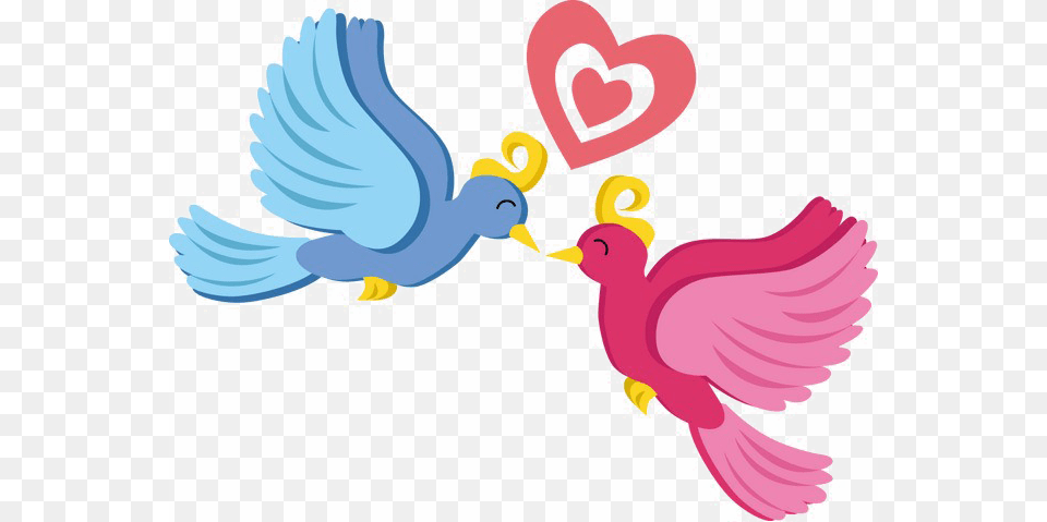 Love Birds Photo Love Bird Cartoon, Animal, Pigeon, Dove Free Png