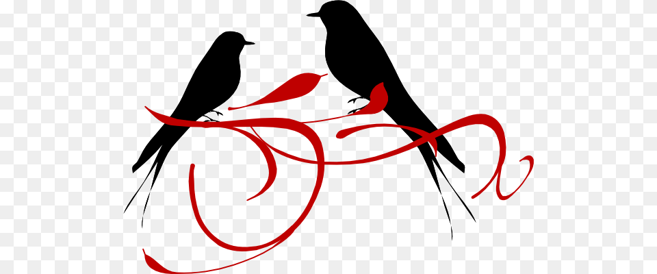 Love Birds Red Clip Art, Animal, Bird, Blackbird, Text Png