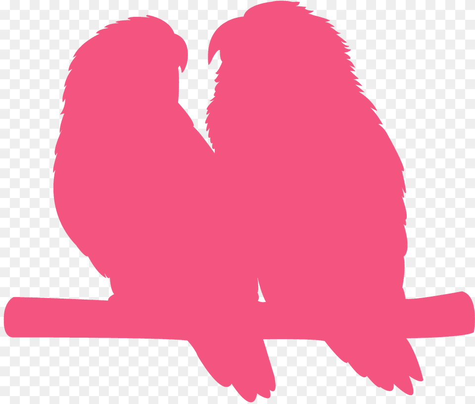 Love Birds Silhouette, Animal, Bird, Parakeet, Parrot Free Transparent Png
