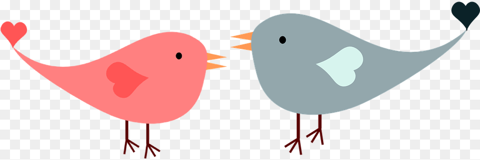Love Birds Transparent Background Love Birds Clipart Valentines Day Jokes For Kids, Animal, Beak, Bird, Finch Png Image