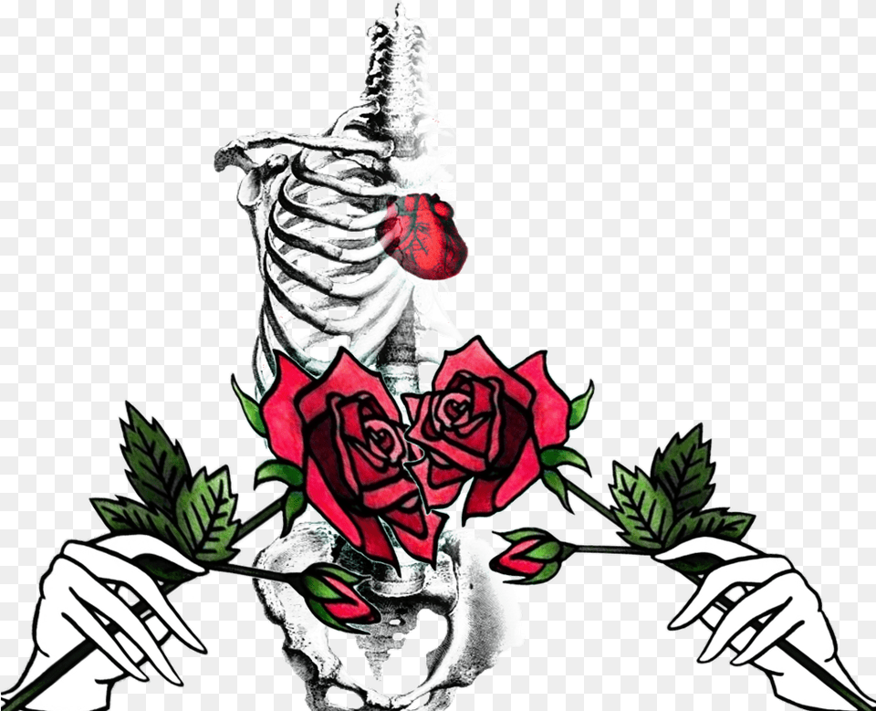 Love Bones Skull Rose Dead Heart Illustration, Flower, Plant, Graphics, Art Png Image