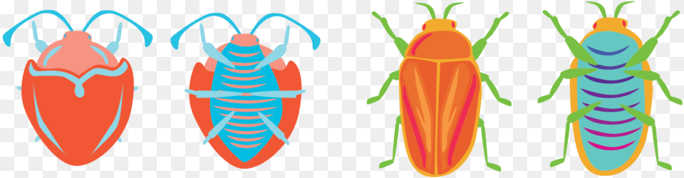 Love Bugs, Animal, Insect, Invertebrate, Cockroach Free Transparent Png