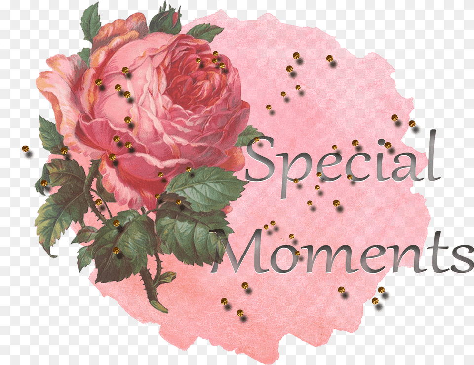 Love Card Clipart, Rose, Plant, Dahlia, Flower Free Transparent Png