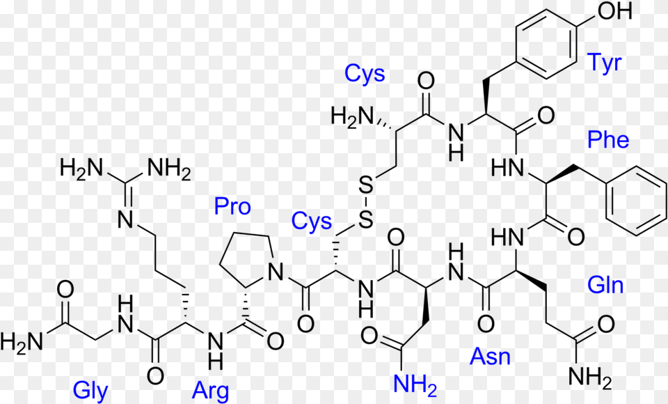 Love Chemistry Oxytocin, Diagram Free Png