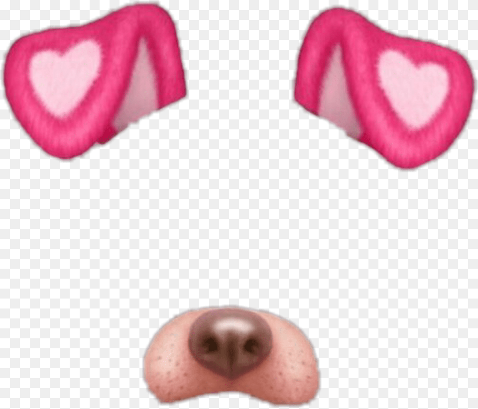 Love Dog Snapchat Filter Overlay Snapchat Heart Filter, Plant, Petal, Flower, Body Part Free Transparent Png