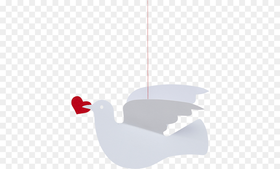 Love Dove Single Illustration, Animal, Beak, Bird, Seagull Png Image