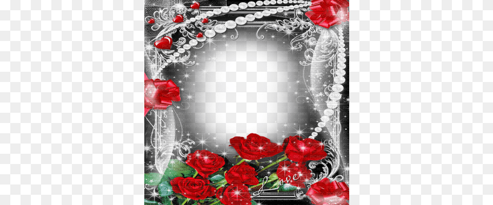 Love Frame Cadre Picture Frame, Rose, Plant, Flower, Pattern Png Image