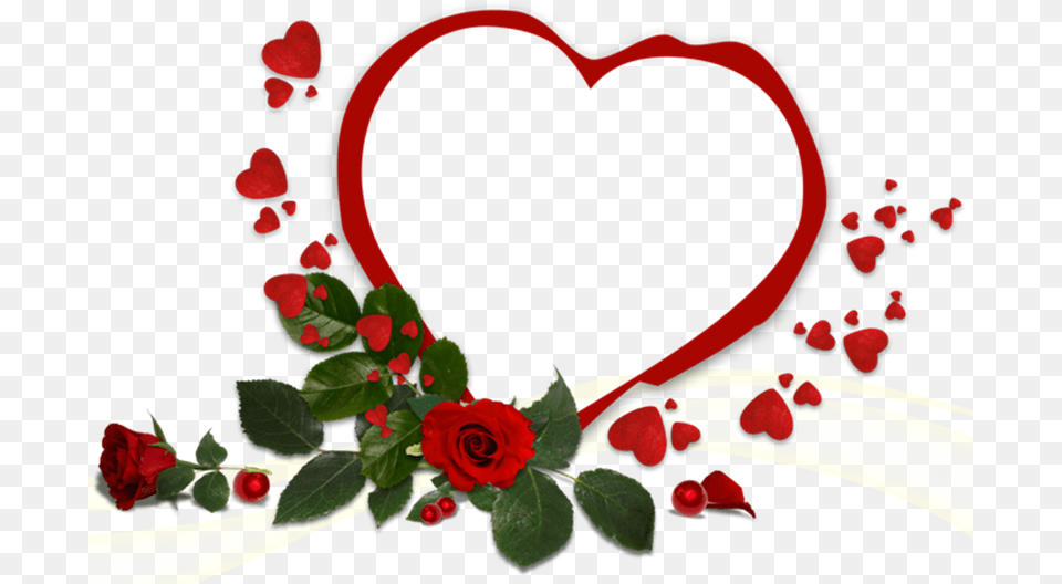 Love Frame Hd, Flower, Plant, Rose, Petal Png