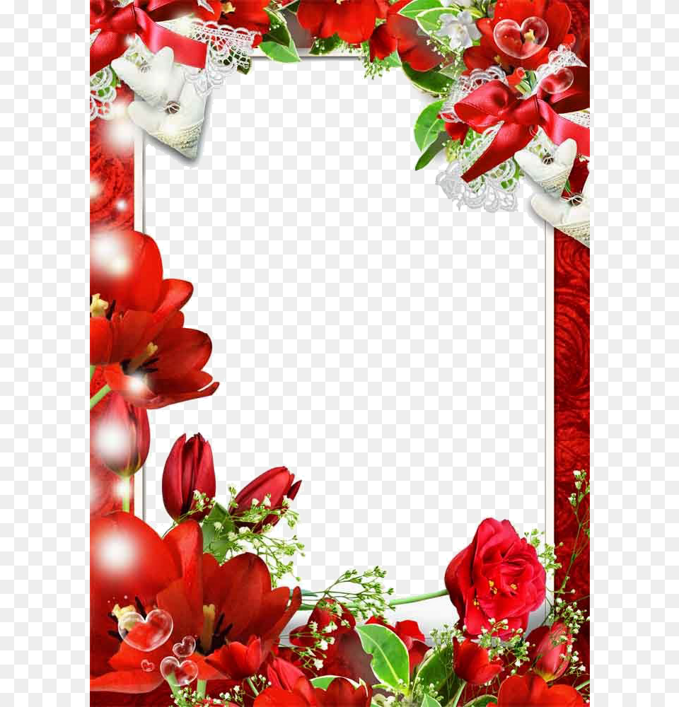 Love Frame Mart Frame Images, Flower, Petal, Plant, Rose Free Png Download