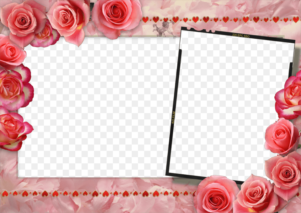 Love Frames Chi Lin Nunnery, Flower, Plant, Rose, Flower Arrangement Free Transparent Png