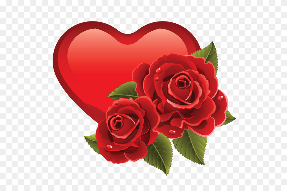Love Heard Valentines Day, Flower, Plant, Rose Png