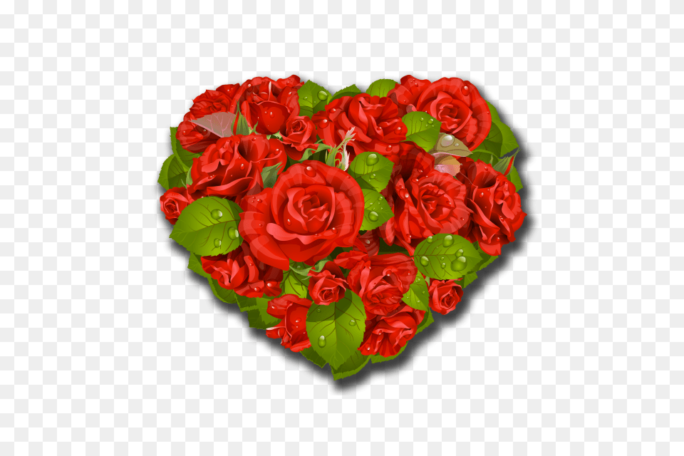 Love Heard Valentines Day, Rose, Plant, Flower, Flower Bouquet Free Png Download