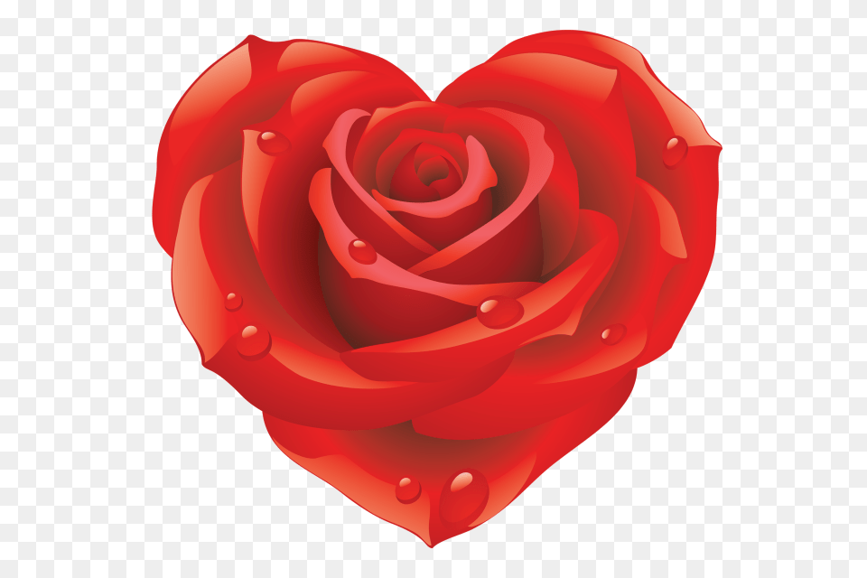 Love Heard Valentines Day, Flower, Petal, Plant, Rose Free Transparent Png