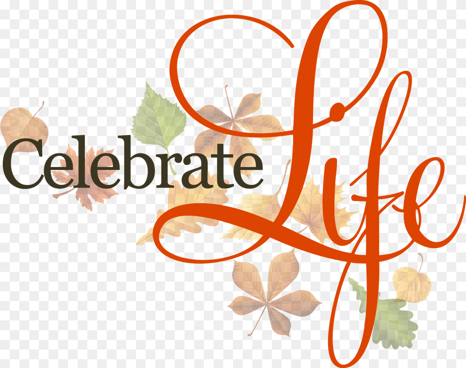Love In Action 24 7 Pregnancy Solutions Services Birthday Celebrate Life, Art, Plant, Pattern, Leaf Png