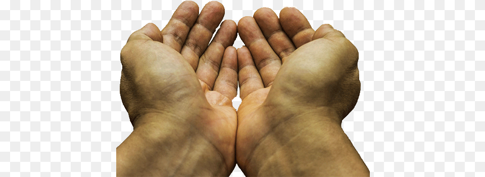 Love Is Restoration Of The Family Mo Doando, Body Part, Finger, Hand, Person Free Png