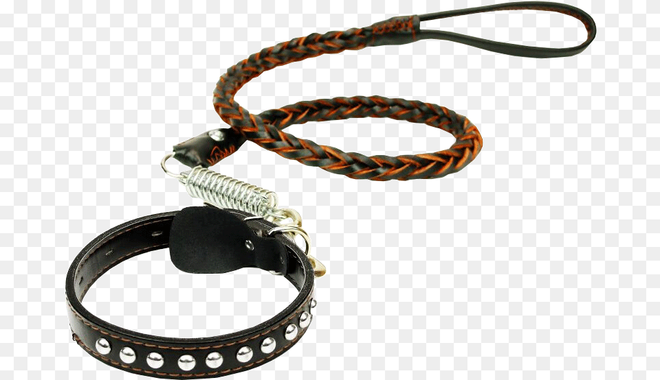 Love It Beautiful Dog Chain Dog Rope Pet Leash In The Paw, Accessories, Bracelet, Jewelry Free Png