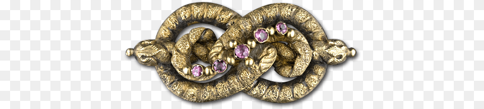 Love Knot High Quality Image Dlpngcom Serpent, Accessories, Jewelry, Brooch, Gemstone Png