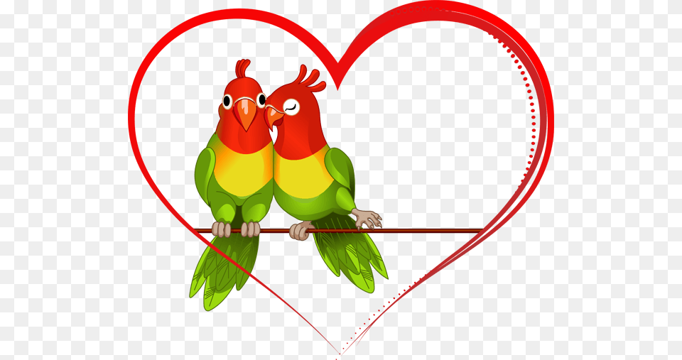 Love Pet Cliparts, Animal, Bird, Parakeet, Parrot Png Image