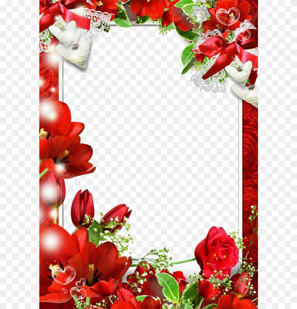 Love Photo Frame, Flower, Petal, Plant, Rose Free Transparent Png