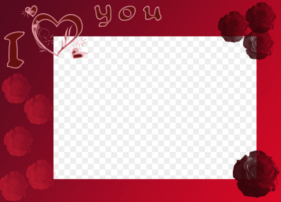 Love Photo Frame Full Hd, Rose, Plant, Maroon, Mail Free Png