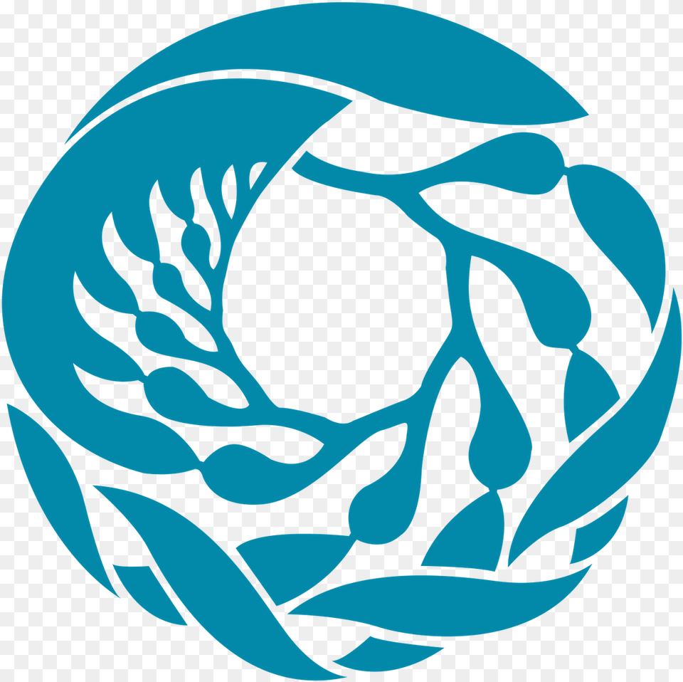 Love The Monterey Bay Aquarium Logo Design By Fred Usher Jr Monterey Bay Aquarium, Turquoise, Baby, Person Free Png Download