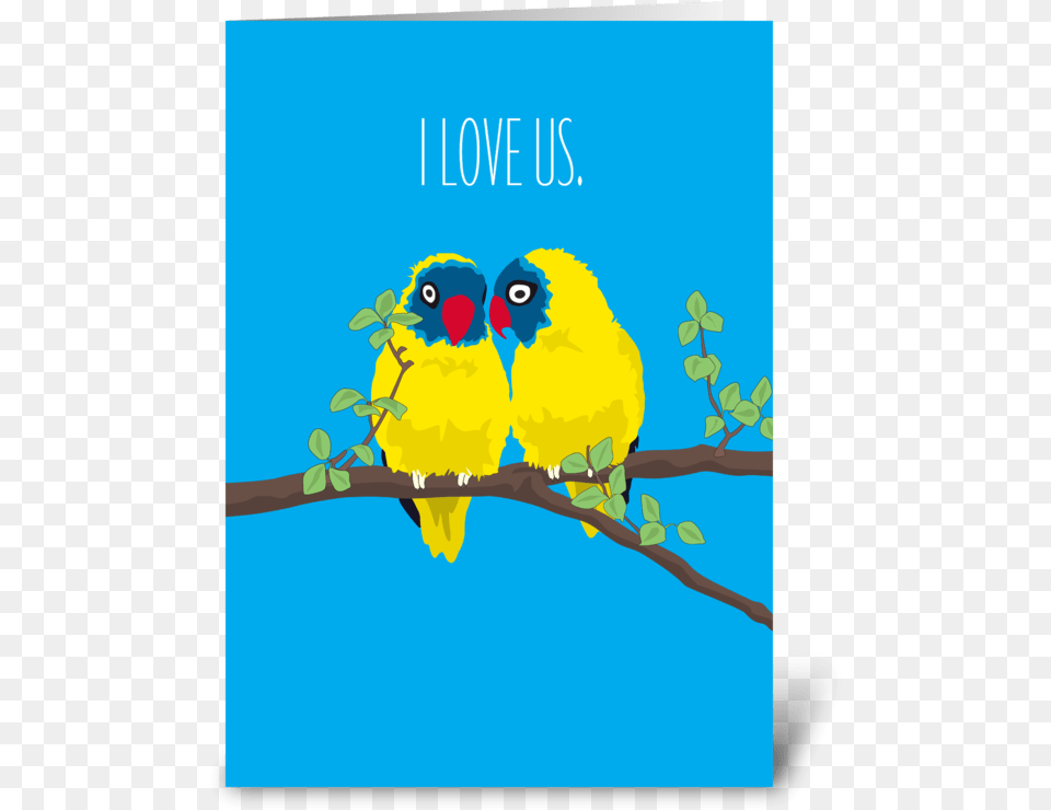 Love Us Love Birds Greeting Card Budgie, Animal, Bird, Finch Free Png