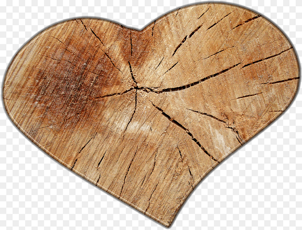 Love Wood Wooden Heart No Background, Plant, Tree, Animal, Insect Free Png Download
