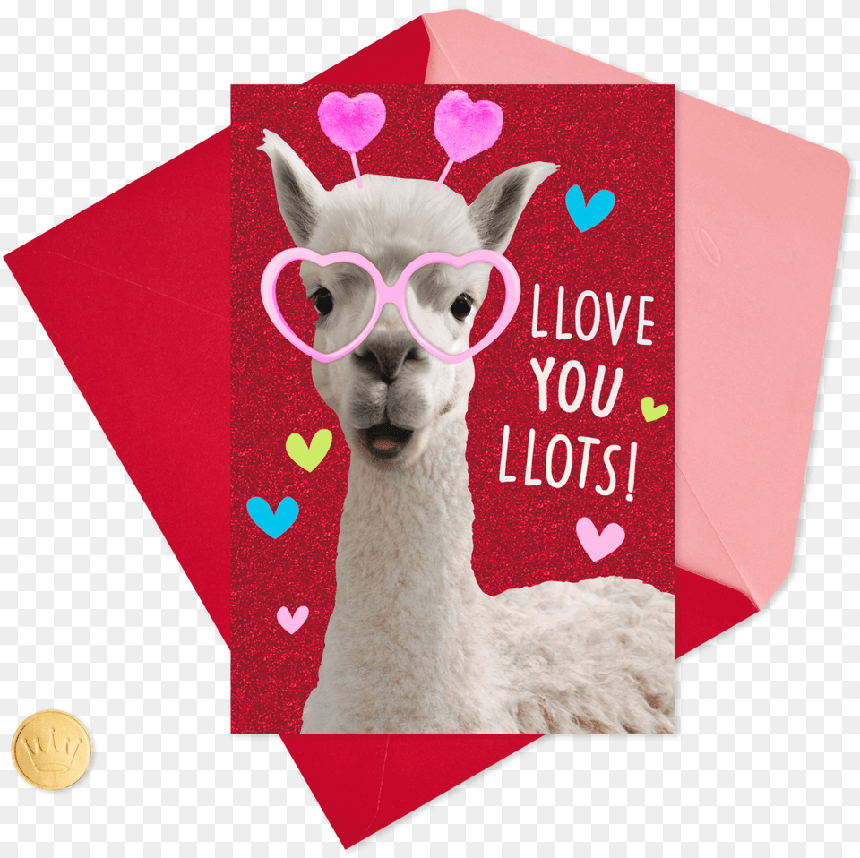 Love You Lots Llamas Valentine S Day Llama, Animal, Mammal, Canine, Dog Free Transparent Png