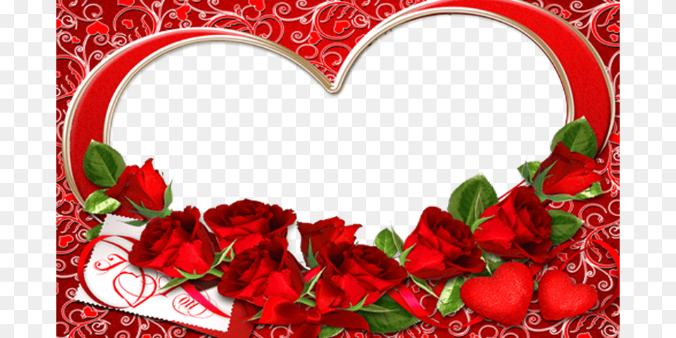 Love You Photo Frames, Flower, Plant, Rose Free Png