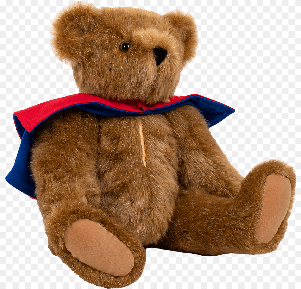 Love Your Heart Bear Personalized Cape Teddy Bear, Teddy Bear, Toy Free Transparent Png