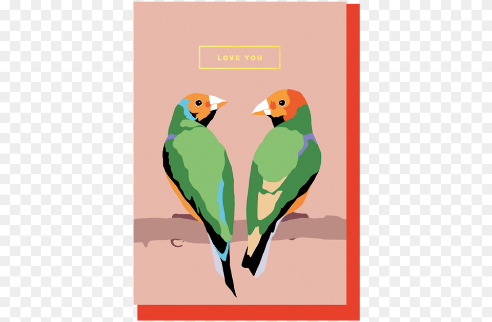 Lovebird, Animal, Beak, Bird, Finch Png Image