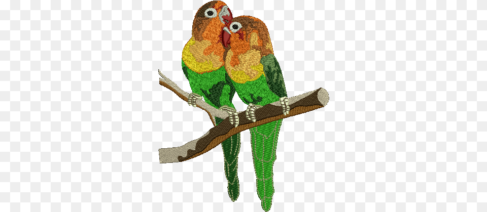 Lovebird, Animal, Bird, Parakeet, Parrot Png Image