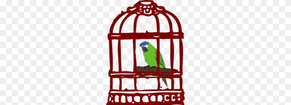 Lovebird Clipart, Animal, Bird, Parakeet, Parrot Free Png Download