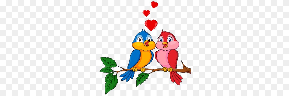 Lovebird Clipart Animated, Animal, Bird, Beak, Art Free Png