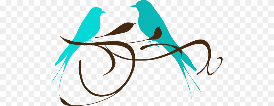 Lovebird Clipart Love Symbol, Animal, Bird Free Transparent Png