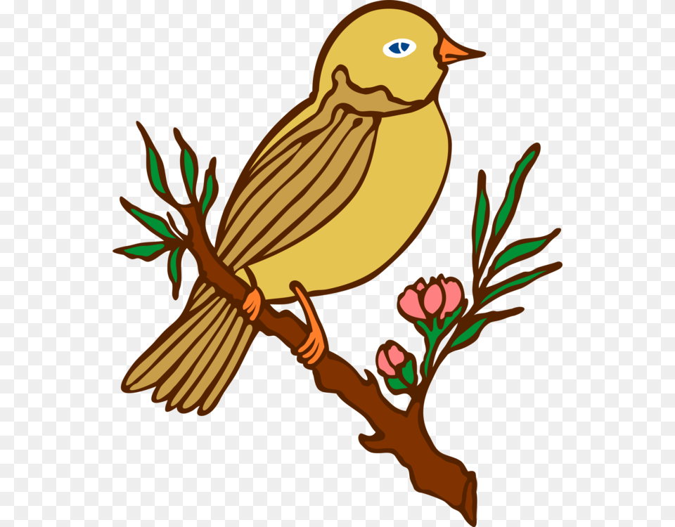Lovebird Goose Cockatiel Poetry, Person, Animal, Bird, Finch Free Png Download