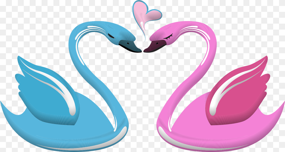 Lovebird Lovebird Black Swan Heart Swan Love, Animal, Bird, Flamingo, Smoke Pipe Free Transparent Png