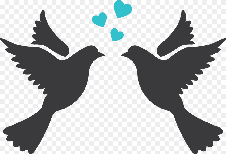 Lovebird Silhouette Drawing Clip Art Drawing Love Bird, Baby, Person Png Image