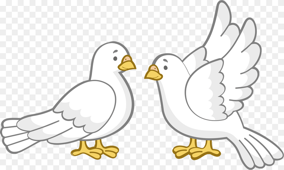Lovebirds Clipart, Animal, Beak, Bird Png Image