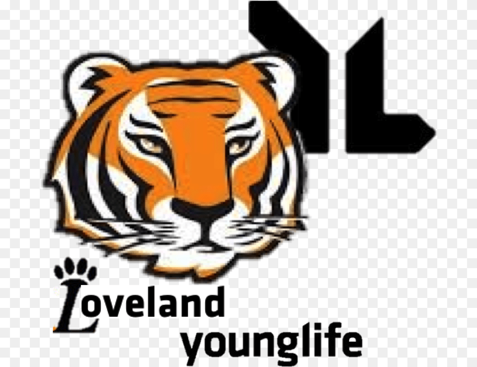 Loveland High School Tigers, Animal, Wildlife, Mammal, Tiger Free Transparent Png