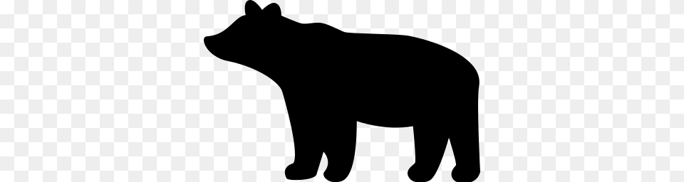 Lovely Black Bear Silhouette Clip Art Bear Silhouette Cliparts, Gray Png Image