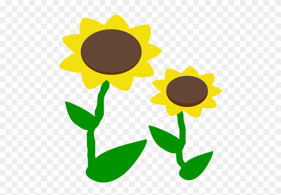 Lovely Color Icons And Clip Art, Daisy, Flower, Plant, Sunflower Png