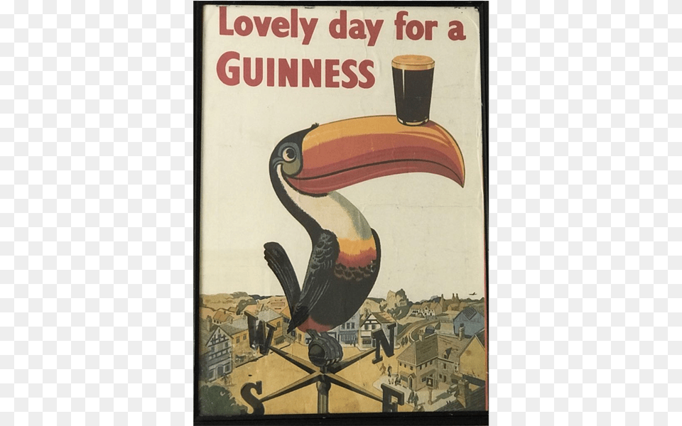 Lovely Day For A Guinness, Animal, Beak, Bird, Advertisement Free Transparent Png
